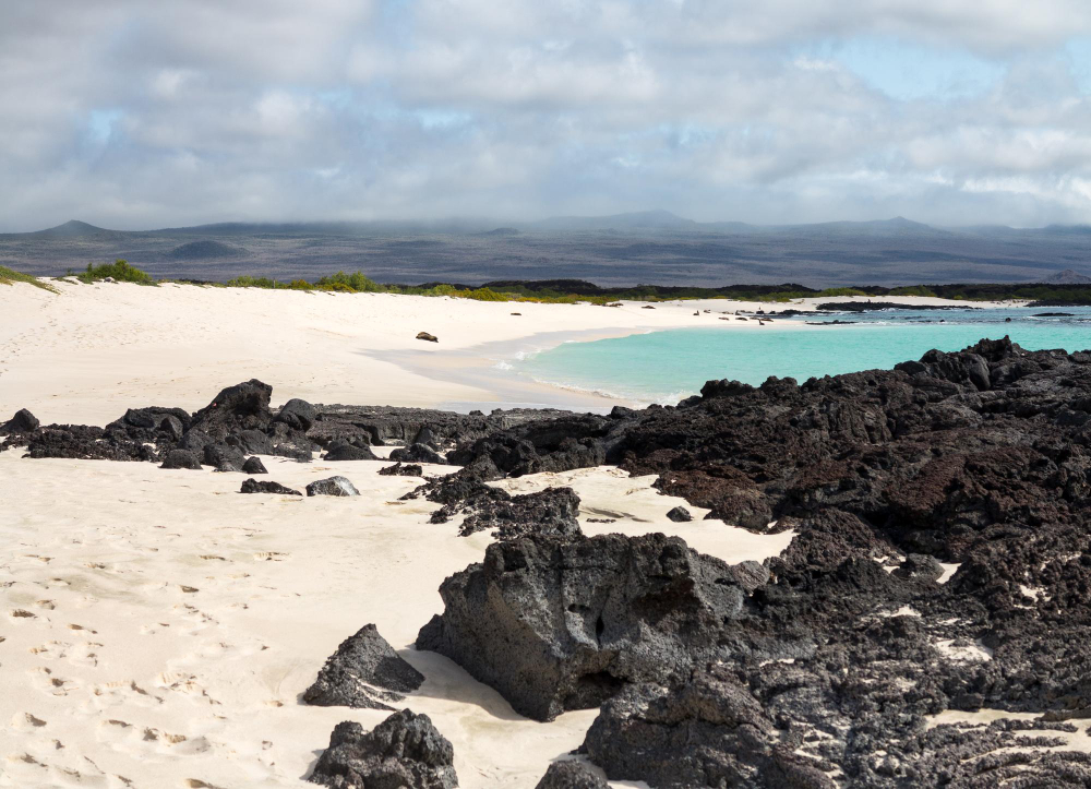 Explorando la maravillosa Isla Santa Cruz en las Galápagos